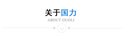 海安縣國力化工有限公司